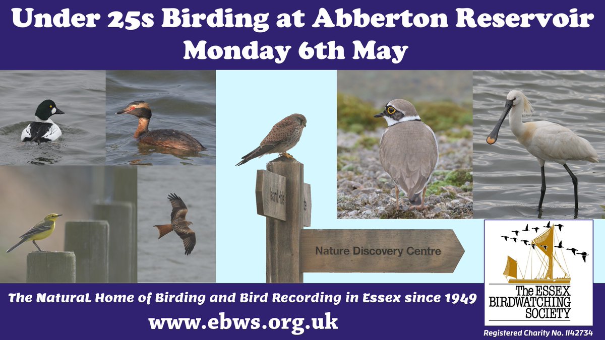 We're excited to announce an upcoming EBwS under-25s birding day at Abberton Reservoir on Monday 6th May. If you're under 25, or know someone who is, and would like to come along full details can be found here: ebws.org.uk/index.php/ebws… @EssexBirdNews @EssexWildlife