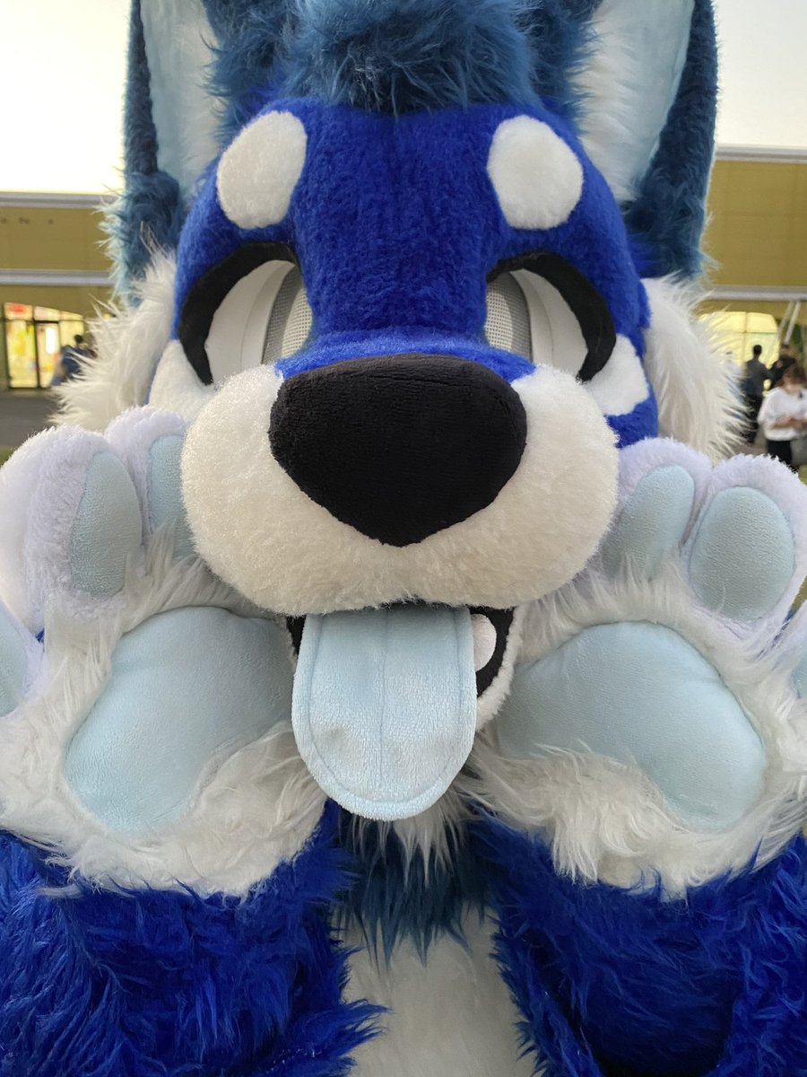 migawari_poko's tweet photo. アルファくん(@315Revil )
色合いがポケマルとよく似ていて、Googleレンズではポケマルとよく見間違えられていたコ!
自由奔放でやんちゃで可愛らしいところが好きですねぇ!🥰
#STUDIO643
#着ぐるみ300匹でmela踊ってみた https://t.co/ZY2bHahbxx