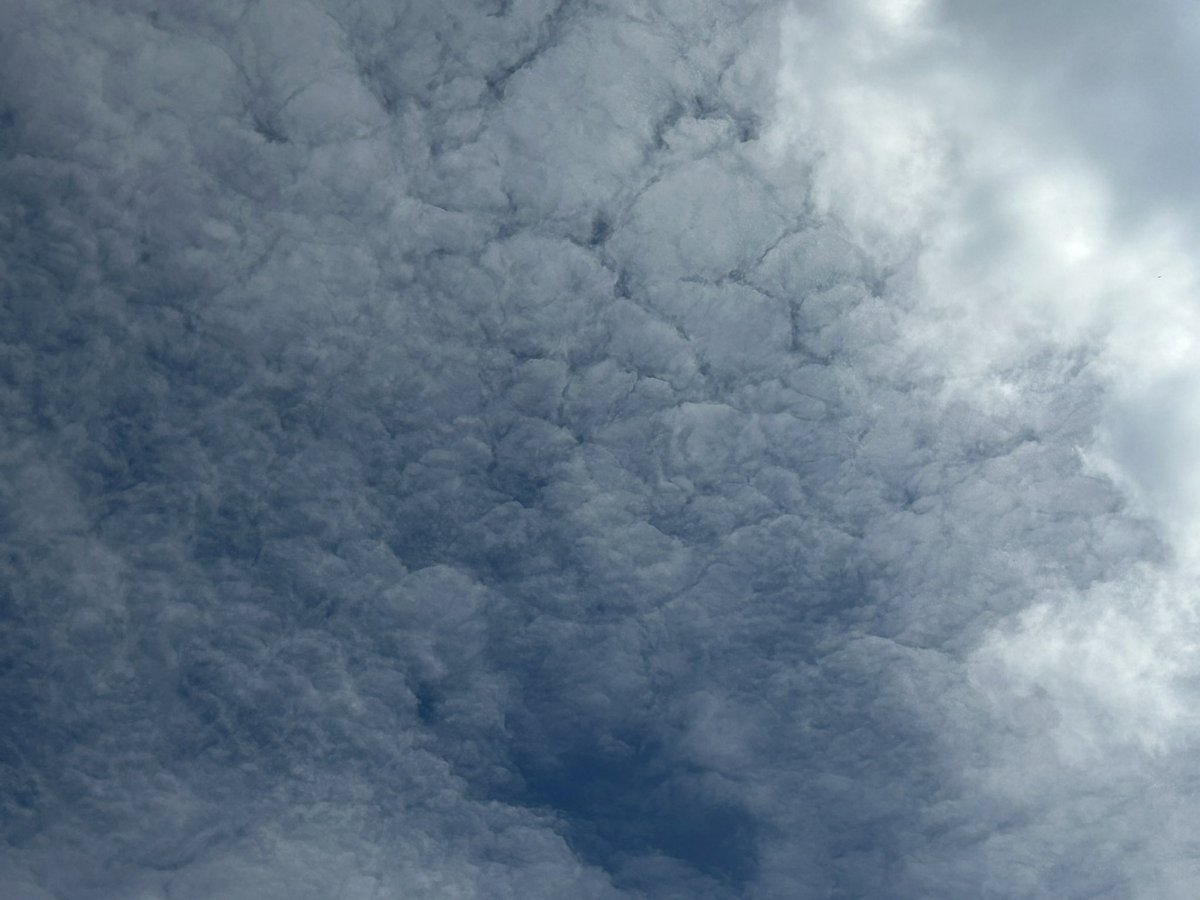 chatswithem's tweet photo. There were perfect normal white clouds- went into a building for 5 mins. No contrails but a load of wierd sky. In 5 mins. Less. Like a switch went on.
Seems us plebs have had our sun ration this am
#stopgeoengineering
#stopSRM
#lookup
#letusbreathe
Please sign this petition
This attack on humans and nature must stop
https://t.co/sHlqNOcboS