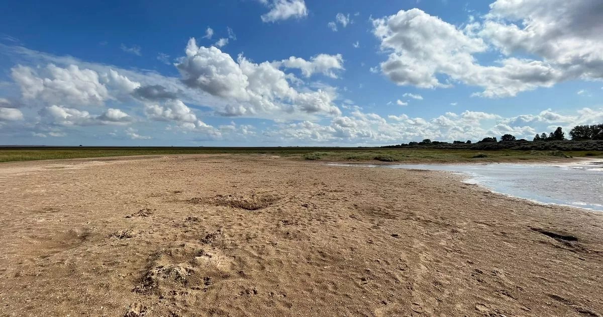 North East Lincolnshire's coastline is now the first National Nature Reserve to honour King Charles III. This move aims to conserve wildlife habitats and boost eco-tourism. #NatureReserve #EcoTourism