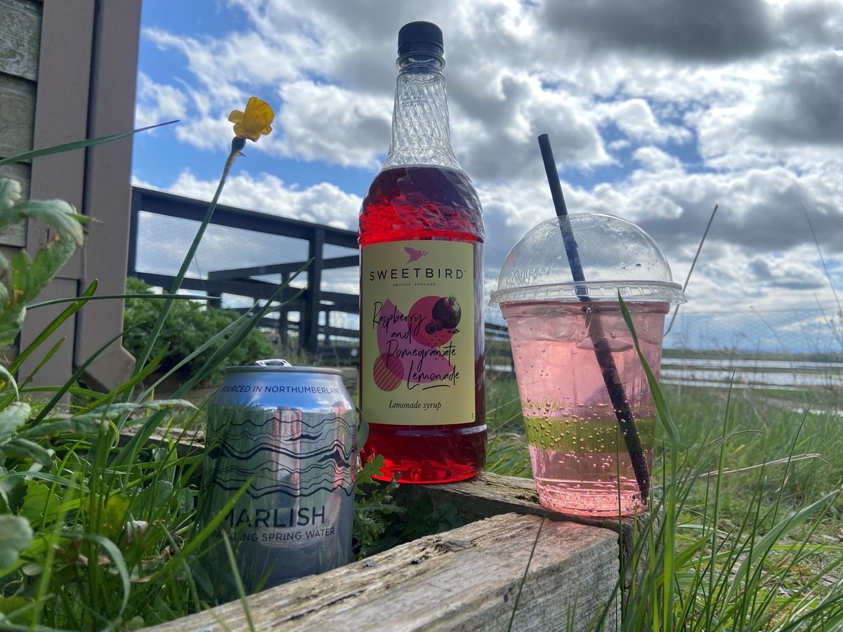 You can enjoy an iced drink at the #LittleOwlCafe. ☀️ The raspberry and pomegranate lemonade syrup tastes #delicious with sparkling water and ice, making the perfect cooler. 🥤 Our popular #strawberrycooler is also available, as are our #icedtea and #icedcoffee. 📷|Ramona Ellis