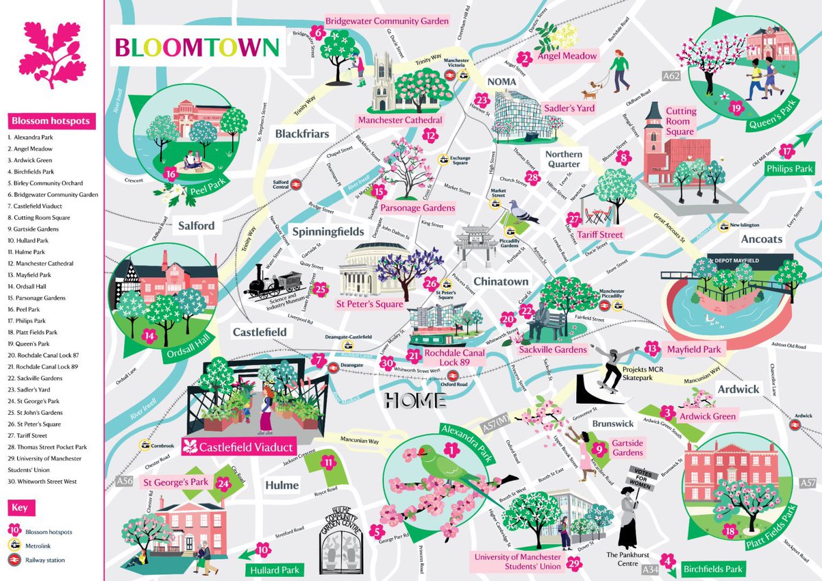 Manchester. It’s #blossomweek . Please take this lovely @nationaltrust map and explore the blossoming streets of your beautiful city. See the lovely blossom-wrapped trams and the tram stops covered in pink and blossomy poetry by the Poet Laureate. Heady stuff. Enjoy!