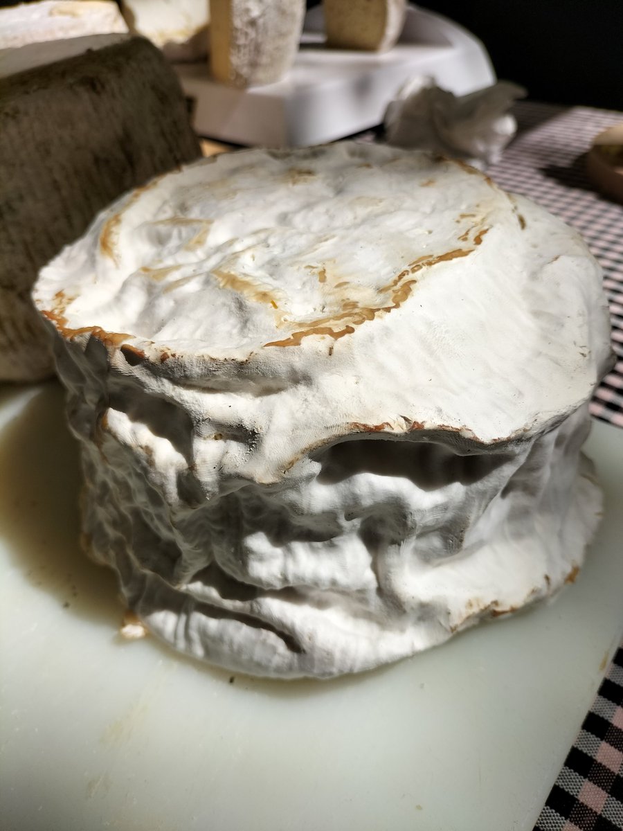 lensumabirres's tweet image. Avui al #Lactium de #Vic. Cervesa i formatge, combinació ideal!