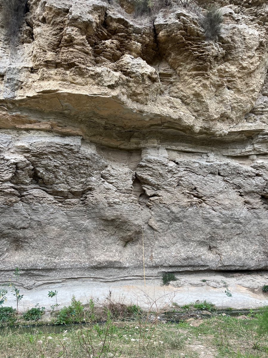 stuart.jones@durham. (@stuartsediment) on Twitter photo Saturday morning science in Spain with <a href="/DurUniEarthSci/">Durham Earth Science</a> and Messinian Salinity Crisis 🤩😀 @k_mccaffrey <a href="/mb_allen/">Mark Allen</a> Saturday morning science in Spain with <a href="/DurUniEarthSci/">Durham Earth Science</a> and Messinian Salinity Crisis 🤩😀 @k_mccaffrey <a href="/mb_allen/">Mark Allen</a>