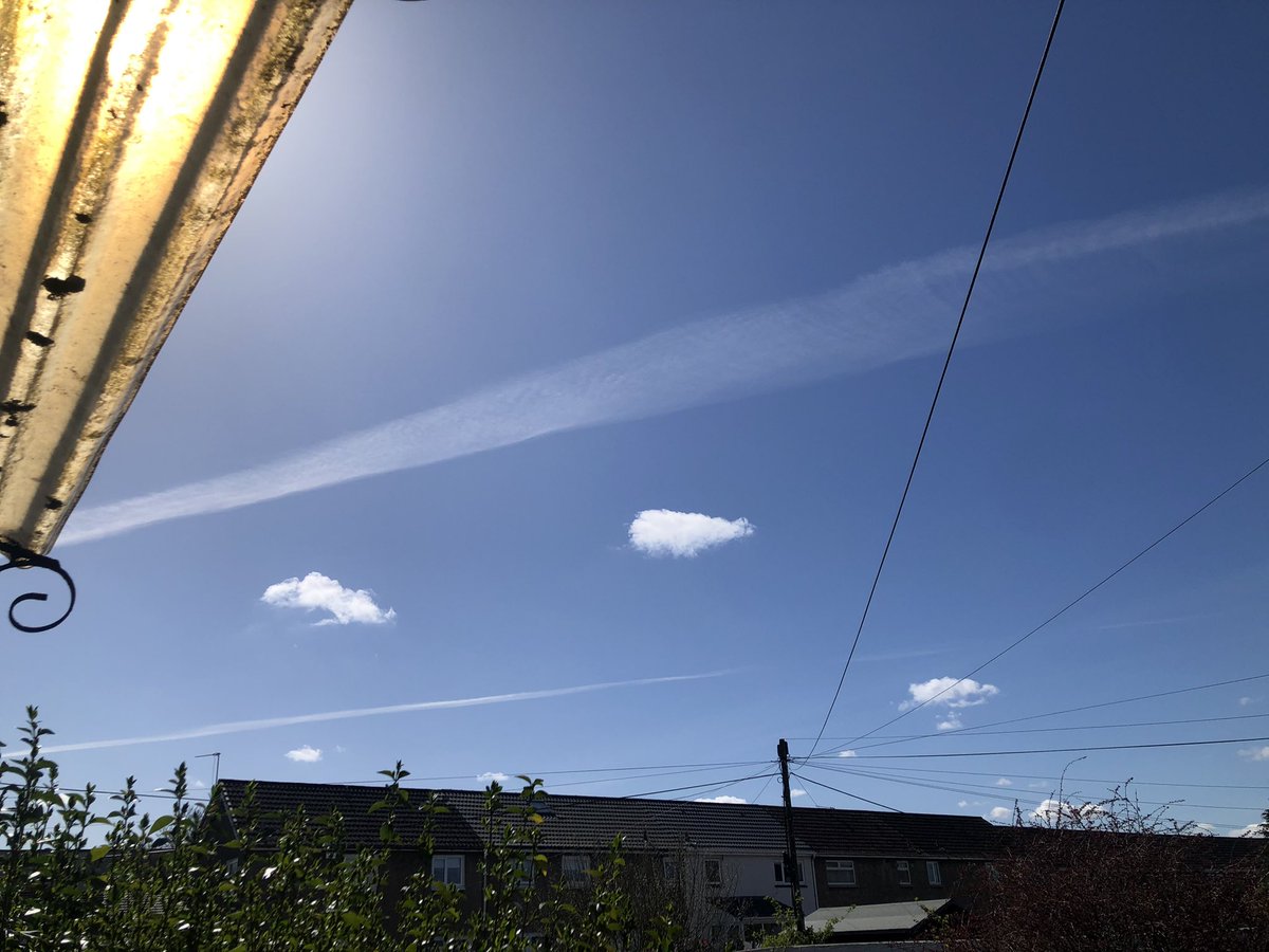 IonisedSkyWatch's tweet image. #skyrats are back 🤢🤮😷 #chemtrails #solarradiationmodification