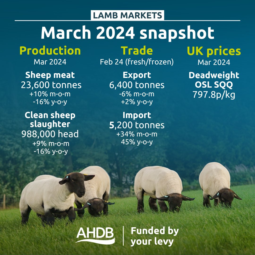 Our latest snapshot overview of the beef & lamb markets in March is now available. 👇 For more information, head to the Markets & Prices section on the AHDB website ➡ ow.ly/Frjf50Rk2pE