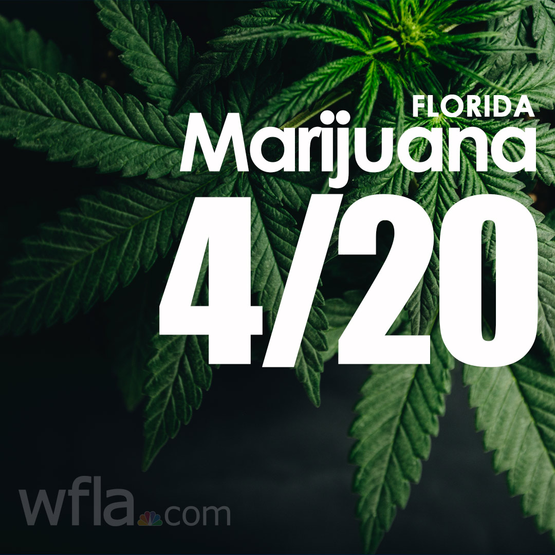 HAPPY 4/20! Floridians will have the chance to vote on the legality of marijuana during this November's general election. Read more about the legalization effort: bit.ly/447fKqx