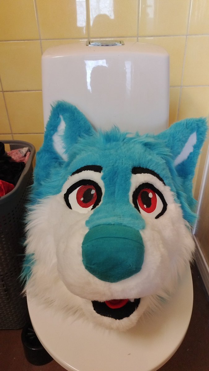 nordiwolf's tweet photo. Haven't showed you this fella in here yet https://t.co/dbFu6C026z