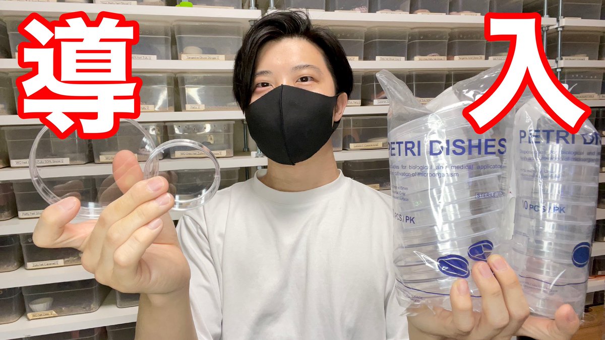 aririn_leopa's tweet photo. ▼YouTube更新

世界TOPのニシアフファームも使用してるアイテムを入手しました。【ニシアフリカトカゲモドキ】
https://t.co/wpYsjWHQWq

フォロー＆RTでRAFchステッカー当たります🎯
本日も宜しくお願いします🤲 https://t.co/ABLN6tw72C