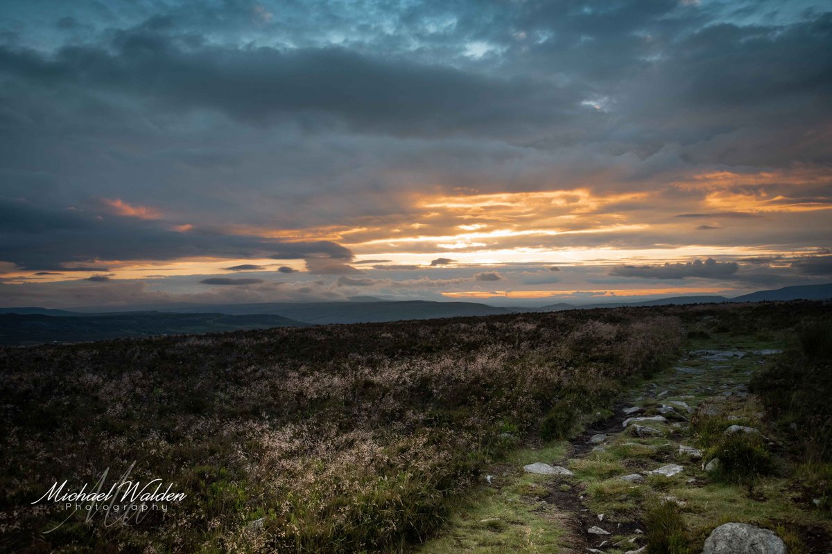 Evening walks #nationalgeographic #photographylovers #Breacon #natgeo #wales #macro #walesonline #nikontop #nikond750