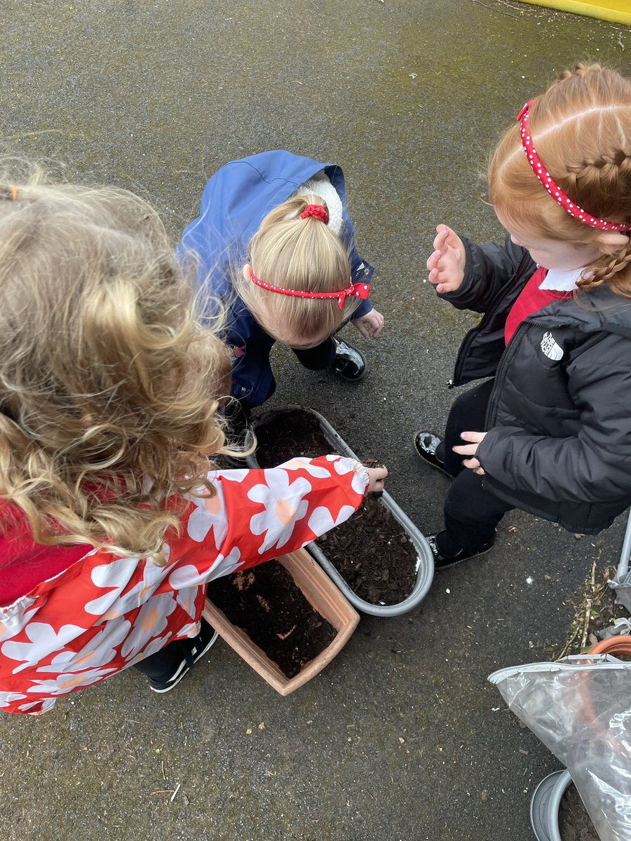 Daisy class have been busy planting vegetables this week 🥬🥕🧅