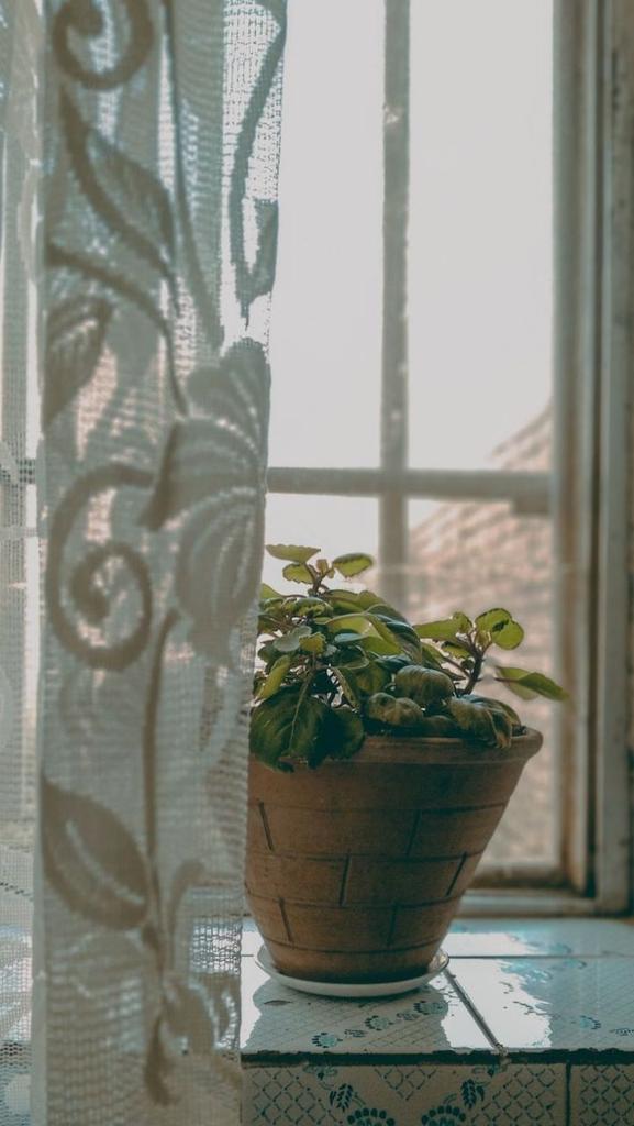 مهما كانت الصعوبات التي تواجهها لابد ان تتذكر أن هناك دوماً أمل ان هناك دوماً طريقاً لتجد الطمأنينة ✨
#مساء__الخير #مساء_الخير_والسعاده_للجميع