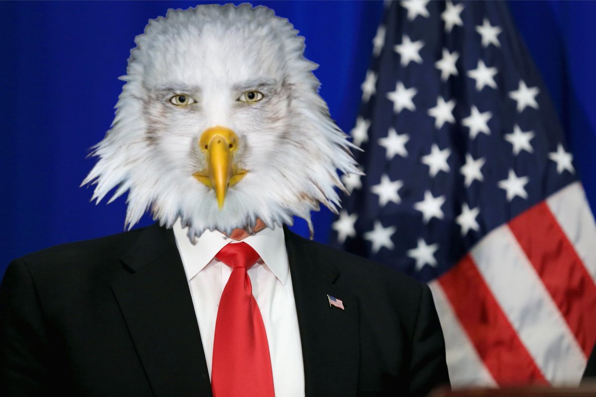 MAKE AMERICA MEME AGAIN 🇺🇸