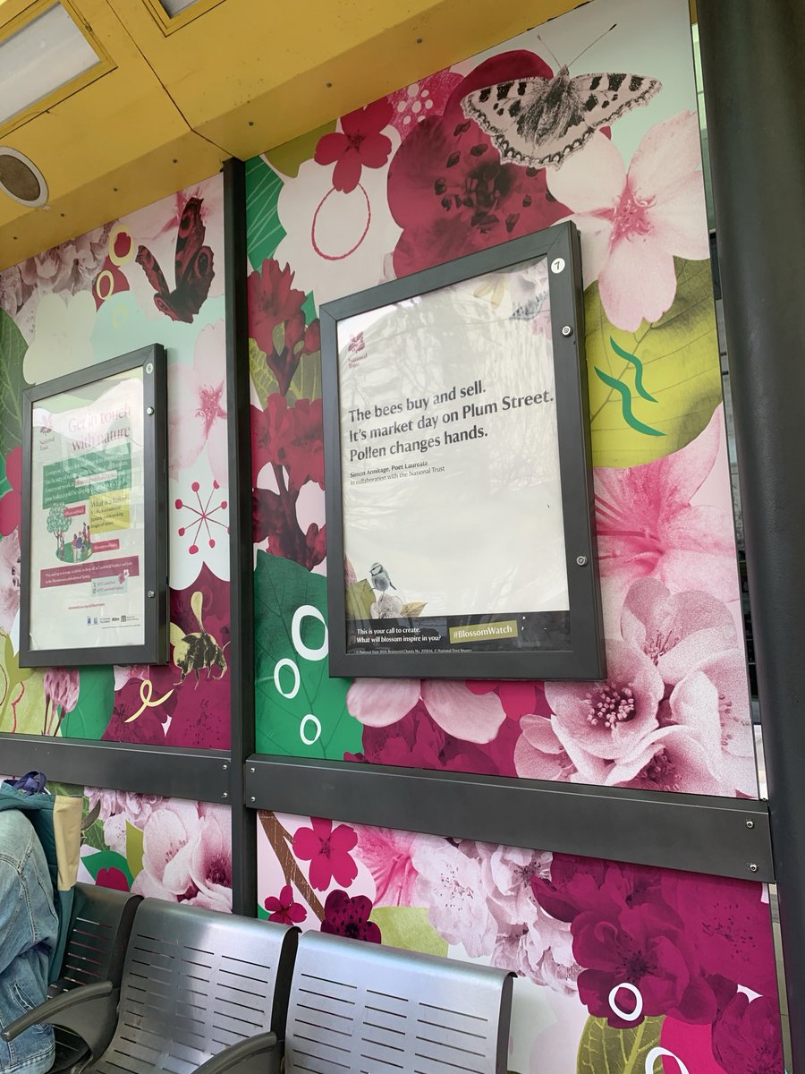 The ⁦@nationaltrust⁩ has made the tram stops in Manchester go all pink and poetry-laden to celebrate the beauty of Spring blossom. And while I’m on, let’s also hear it for public transport and the beautiful cityscapes of northern England.