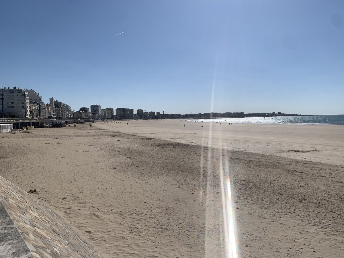 French Dexter tweet media