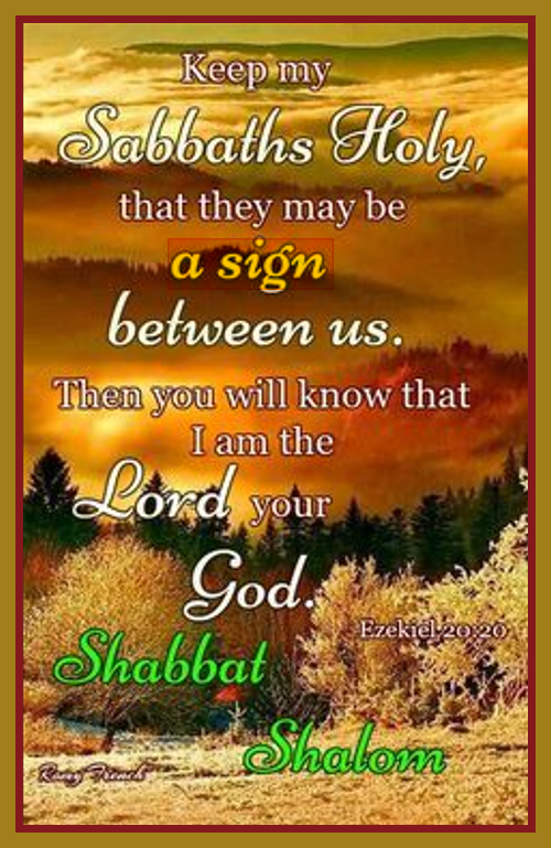 I bless you brothers and Sisters in Messiah YAHusha.
I bless your Families.
Have a beautiful 7th Day Sabbath.
Hallelu-YAH.