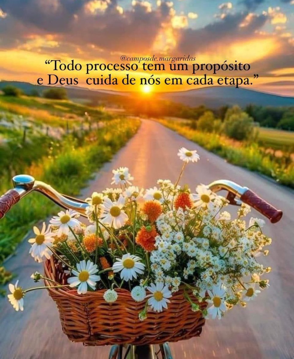 Um lindo dia para todos nós. Bom dia meus amigos!😘😘😘