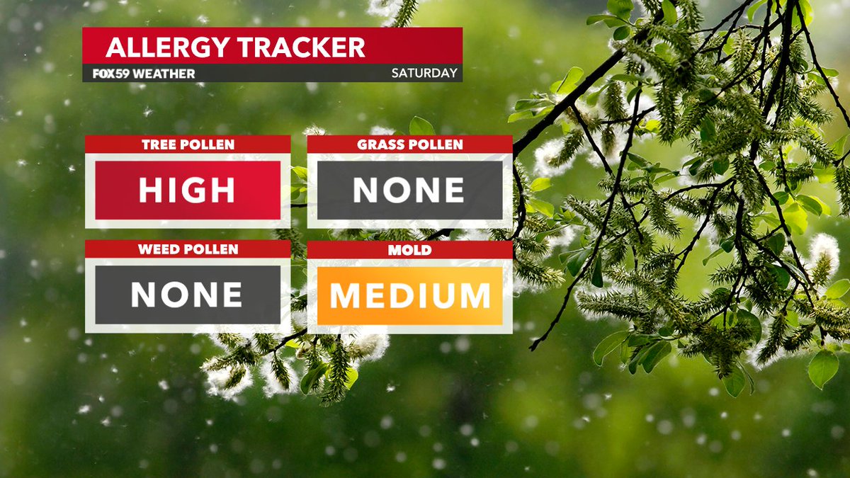 Allergy Tracker >> Tree pollen🌳 stays in the HIGH category today. Mold counts 🍄 are in the moderate category this AM & PM. #INwx #FOX59morning @FOX59 @theWXauthority