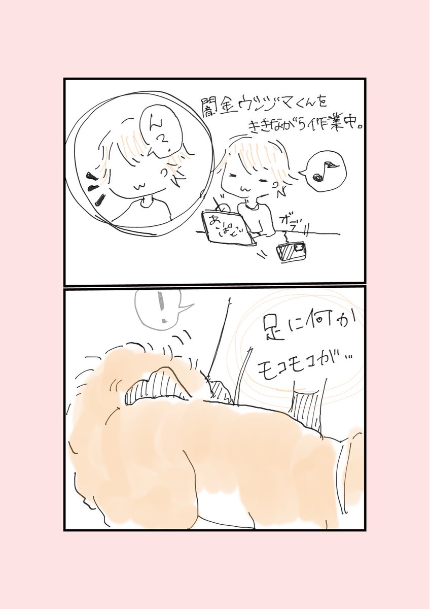 モコモコの正体。
#日常漫画 #いぬのいる暮らし #さらだの日常 