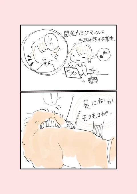 モコモコの正体。
#日常漫画 #いぬのいる暮らし #さらだの日常 