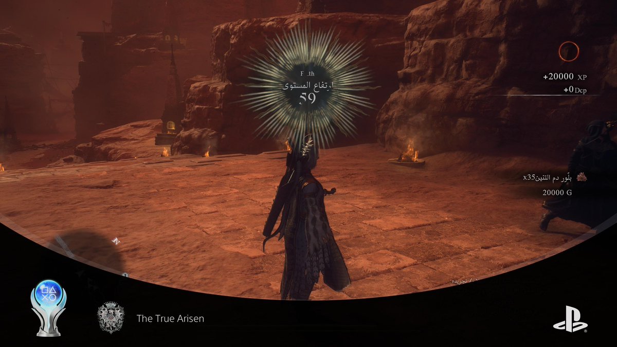 Dragon's Dogma 2
The True Arisen (PLATINUM) 
#DD2 , #PS5Share