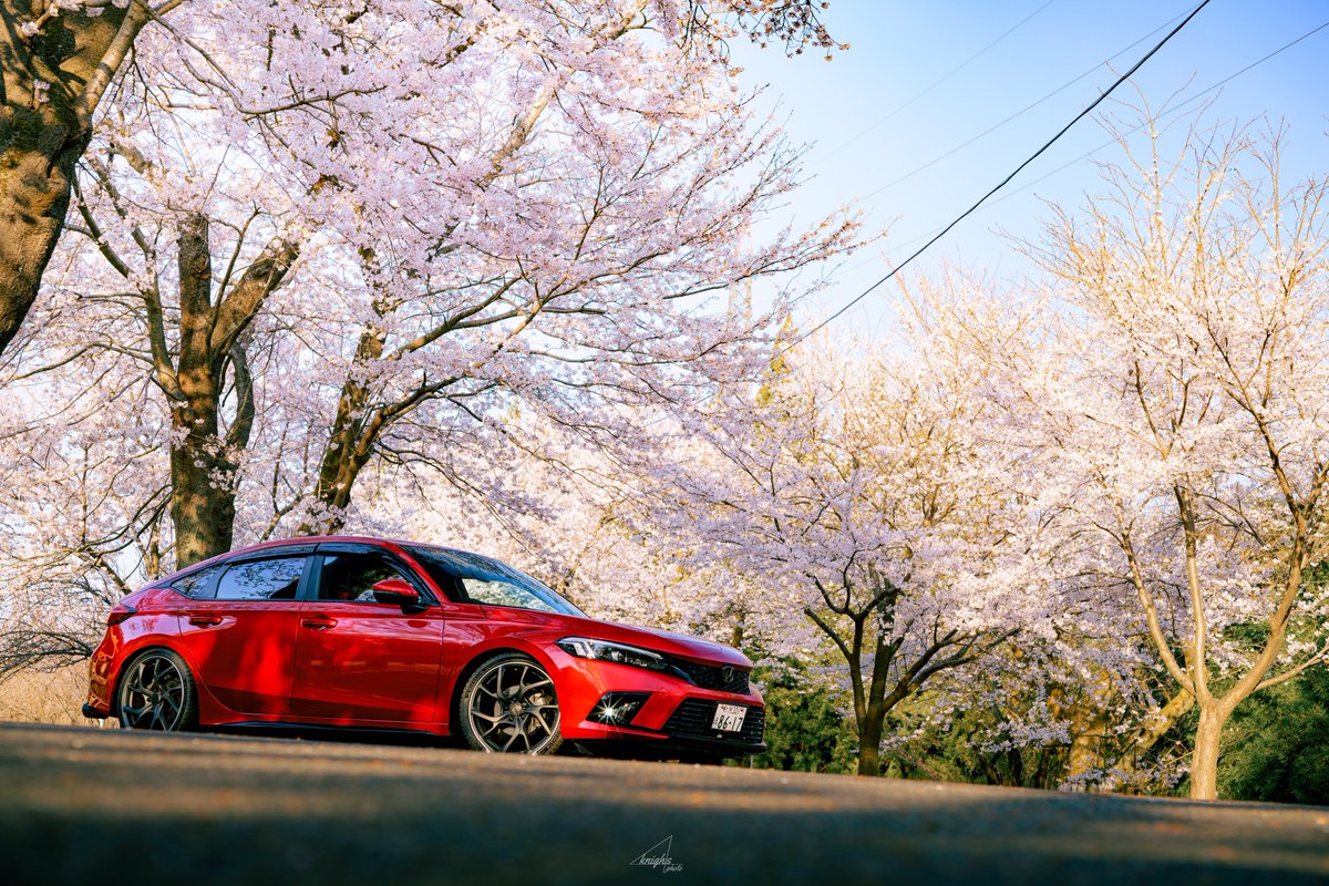 河津桜は色味があるからレタッチでいろいろできたけど、ソメイヨシノ白すぎてどうしたらいいかわからん😇
ソメイヨピも散った花弁みるとピンクなんだけど、どういうことなのん...