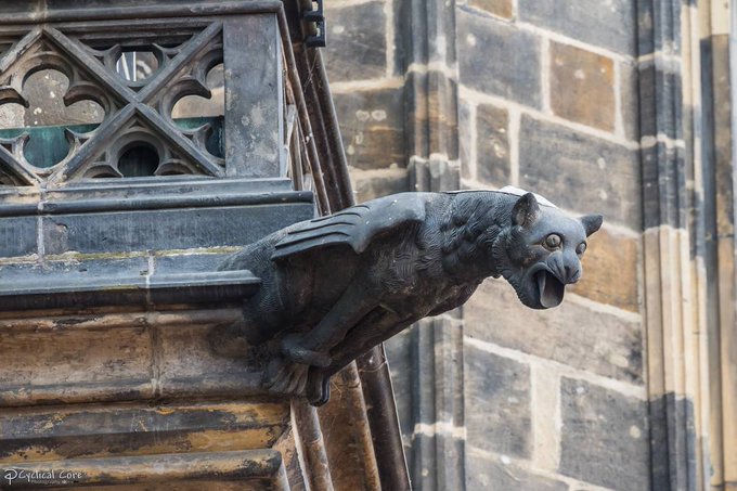 DrSamGeorge1's tweet photo. CAT GARGOYLES &amp; GROTESQUES  Formidable Feline #gargoyles for #Caturday #GothicSpring
Washington National Cathedral; UK cat gargoyle (Birmingham, Hisgett); winged #cat St Vitis Cathedral https://t.co/fHHVJ07dAl