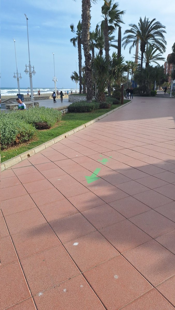 Maria_Serrano3E's tweet photo. Dando paseitos por el Paseo Marítimo y el Parque del Oeste. Si os fijáis el suelo está lleno de figuras planas🌴. Andar es muy bueno para salud así que sacad media hora para disfrutar del buen tiempo! #didgeometria3E #geometriaplanauma https://t.co/WG7BRTgaJ4