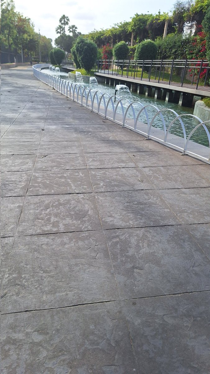 Maria_Serrano3E's tweet photo. Dando paseitos por el Paseo Marítimo y el Parque del Oeste. Si os fijáis el suelo está lleno de figuras planas🌴. Andar es muy bueno para salud así que sacad media hora para disfrutar del buen tiempo! #didgeometria3E #geometriaplanauma https://t.co/WG7BRTgaJ4