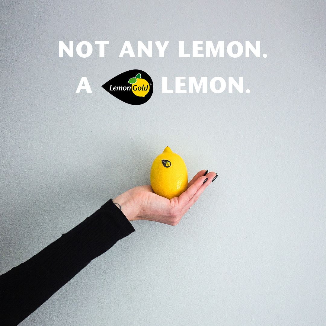 LemonGoldlemons's tweet photo. In the absence of seeds lies endless possibilities. Where bright zesty flavour meets seedlessly simple preparation, inviting a world of creativity for both home cooks and chefs. 

#LemonGold #ChefsChoice #SeedlessLemons #LemonsofSouthAfrica #SouthAfricanLemons #ZestyJoy https://t.co/Fej86ujEnu