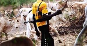 Armed Herdsmen Brutalise Farmers In Kwara Community, Plot To Take Over Land, Police Arrest One Suspect | Sahara Reporters bit.ly/4d94DS3