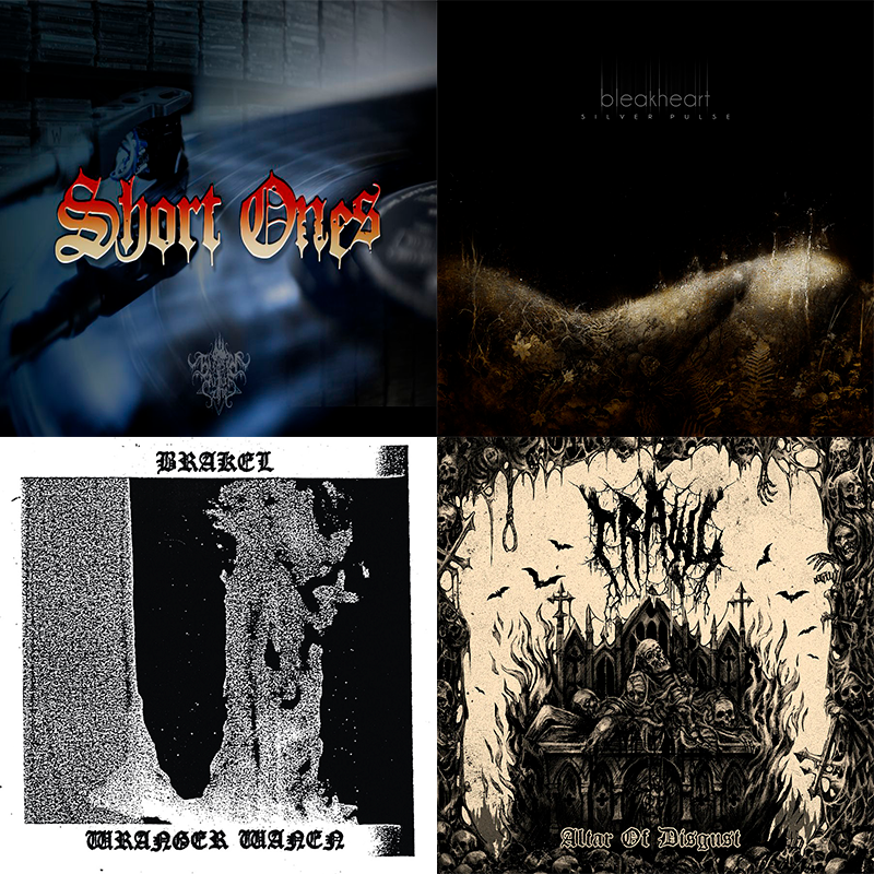 BlessedAltarZin's tweet photo. #ShortOnes CLIV #UndergroundRecos

With
#Bleakheart
#Brakel
#Crawl
#SeeingRedRecords
@signal_rex
@transcendingobs

by #TheKeyKeeper666

https://t.co/reI1NKBKFi

#WeAreBlessedAltarZine
#TheZineSupportingTheUnderground https://t.co/yznVIDFl9a