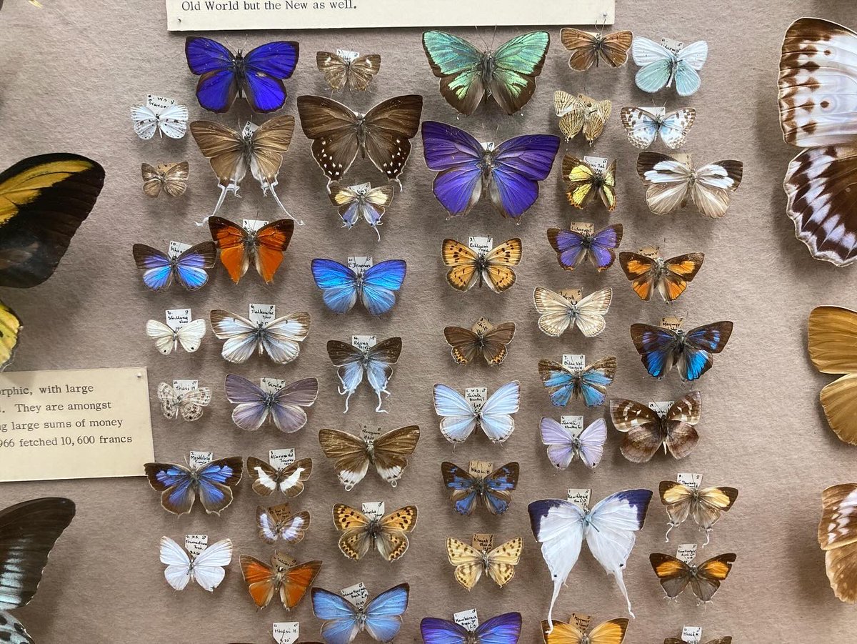 Forthwrite tweet media