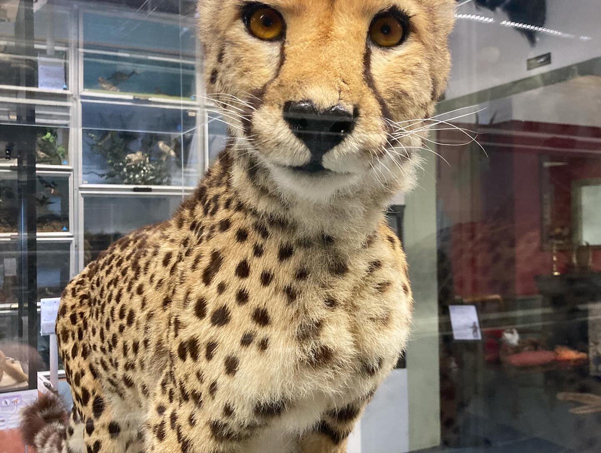 Forthwrite tweet media