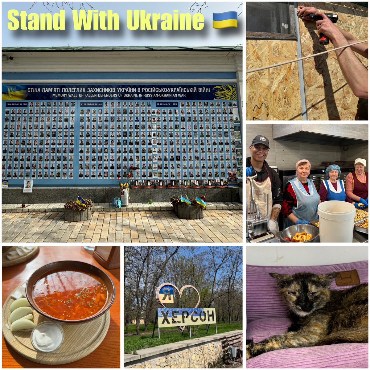 🇺🇦🇺🇸 Standing with Ukraine: A Humanitarian Volunteer's Perspective ✈️Since 2022, I've volunteered on four humanitarian trips across Ukraine, from Lviv to Kyiv to Kherson. Witnessing the devastation firsthand – the targeting of civilian buildings, bustling marketplaces reduced to