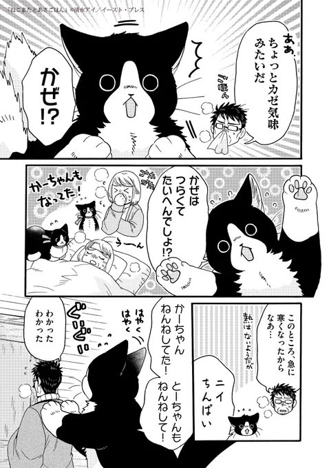 でっかいねこまた、はじめてのおつかい🐱👛(2/5) 