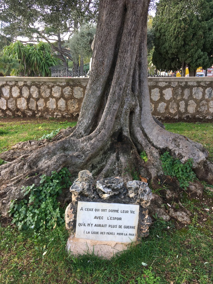 A memorial olive tree in France. I love the idea of using a tree as a memorial. The plaque reads ... To those who gave their lives With hope That there would be no more war (The League of Mothers for Peace)