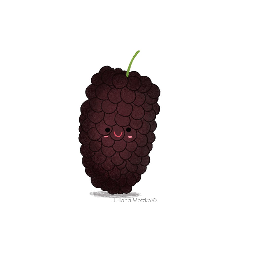 Amora.
Blackberry.

#amora #blackberry #CuteFruits #Food #Fruits #Kawaii #Cute #CharacterDesign #kidlitart #kidlitartist #childrenspublishing #childrenillustration #illustration #illustrator #JulianaMotzko