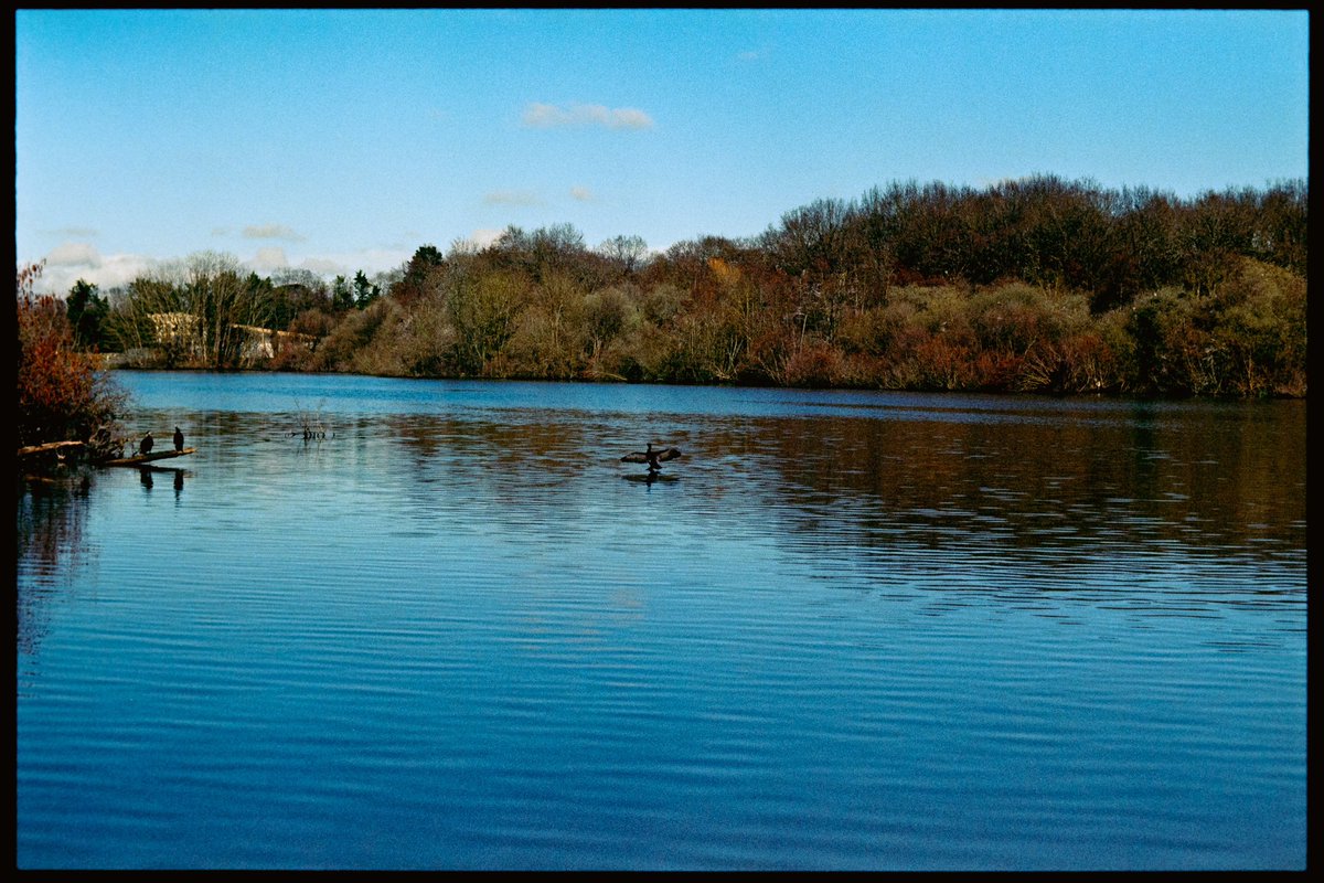 Sundays on expired Fuji Film #35mm