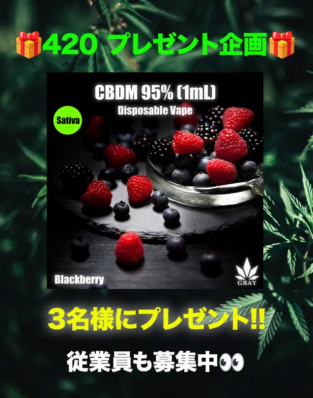 gray_tattooist_'s tweet photo. 🎁420プレゼント企画🎁

新商品CBDMリキッドを3名様にプレゼント🍯

✅条件: 当アカウントのフォロー&amp;RT
✅締切•当選発表: 4月24日

https://t.co/H8IRZmcvQQ https://t.co/wK5I1IdxqN