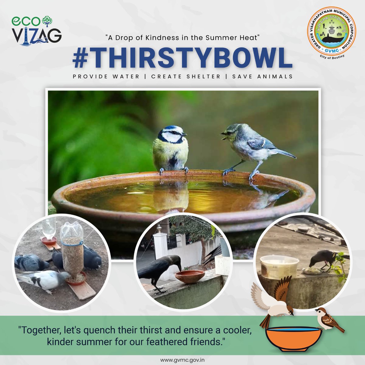 '🌞Beat the heat and save our avian friends! With soaring temperatures, birds are struggling to find water, leading to dehydration and fatalities. Let's come together and provide a refreshing oasis for them. Join the movement, make a difference, and ensure a hydrated and happy…