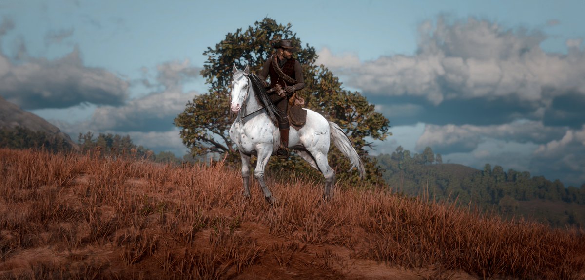 Red dead redemption II 🍁