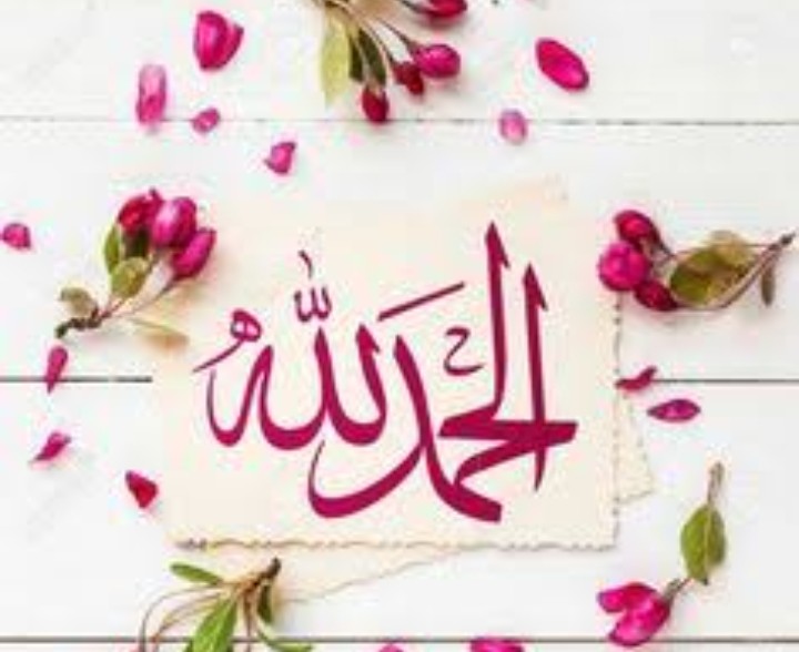 Alhamdulillah🌺❤️ 
الحمدللہ 🌺❤️