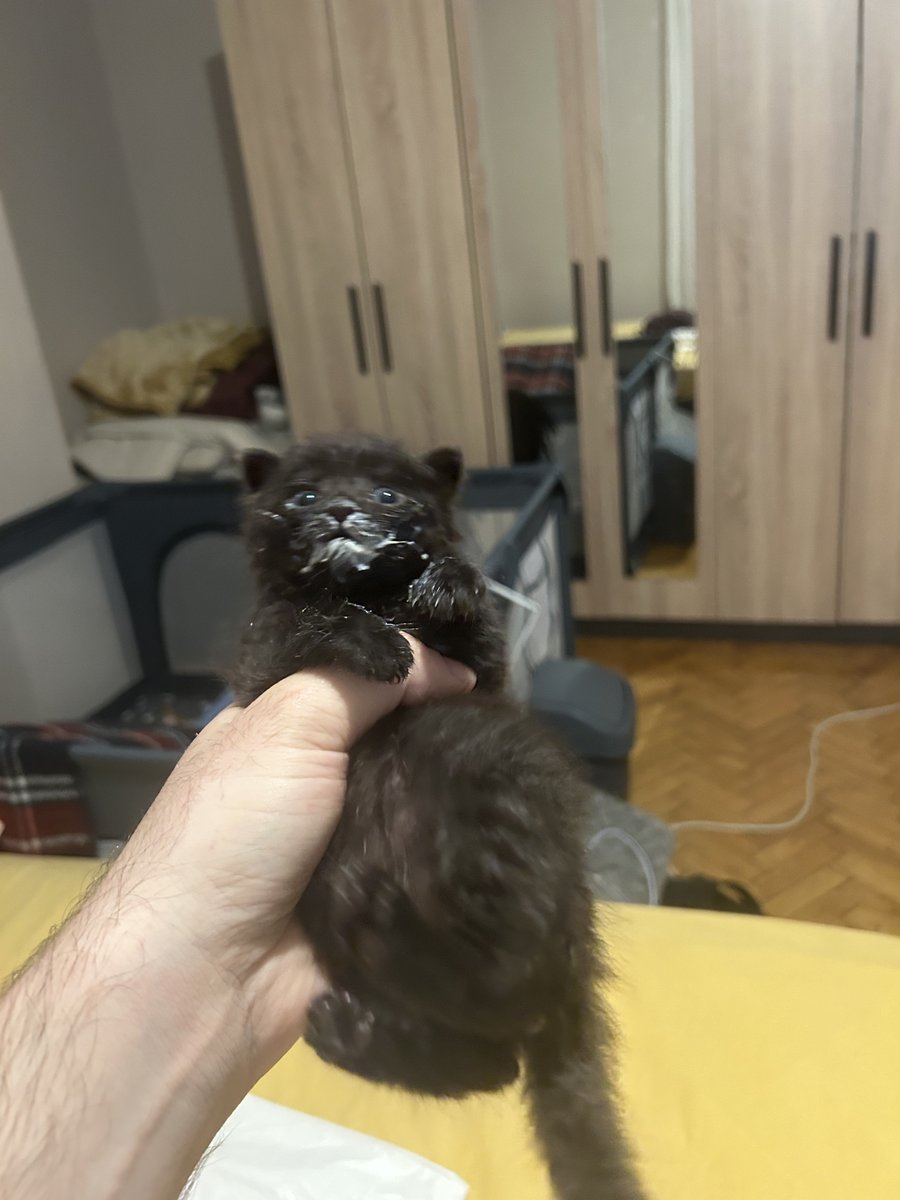 Ya o südü vereceksin ya bu diyardan gideceksin!?