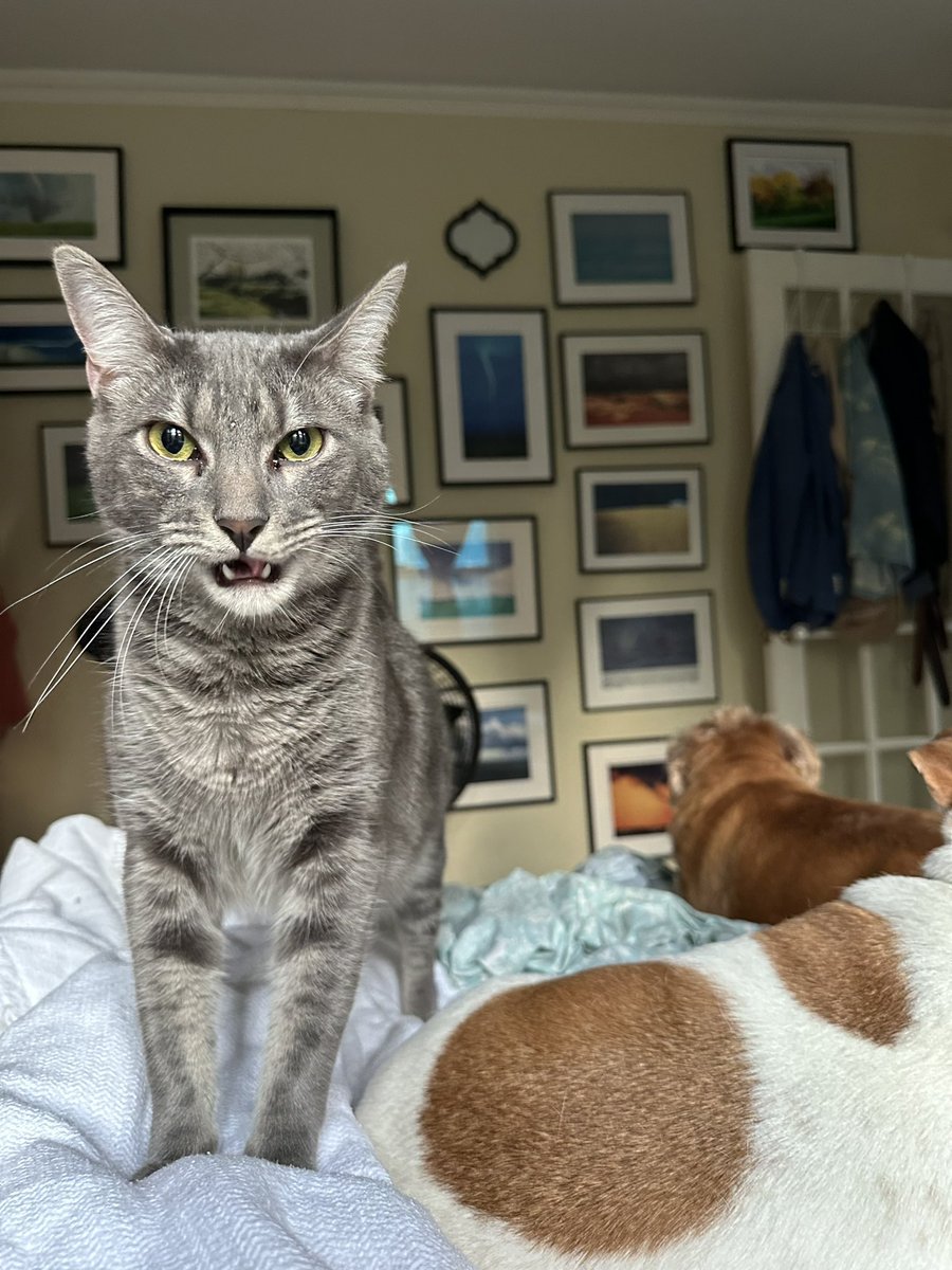 Patrick Skinner tweet media