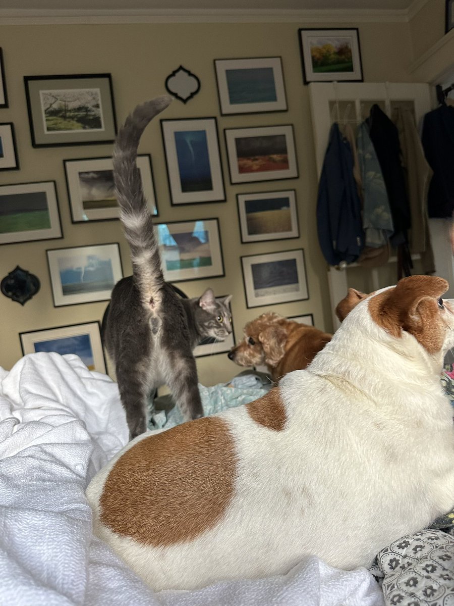 Patrick Skinner tweet media