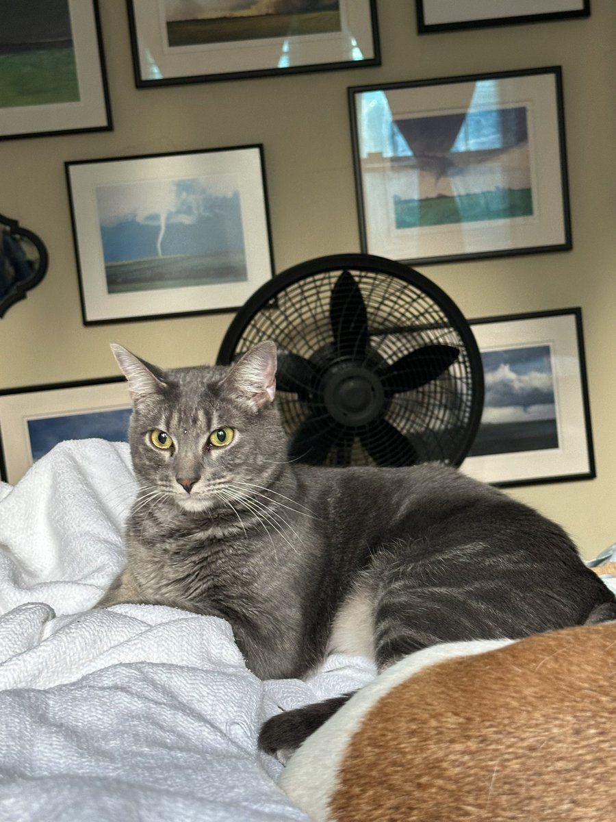 Patrick Skinner tweet media