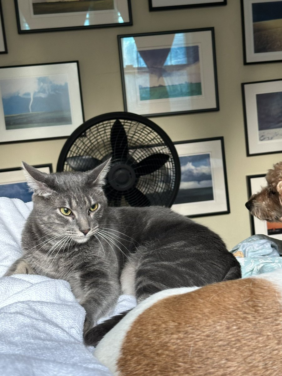 Patrick Skinner tweet media