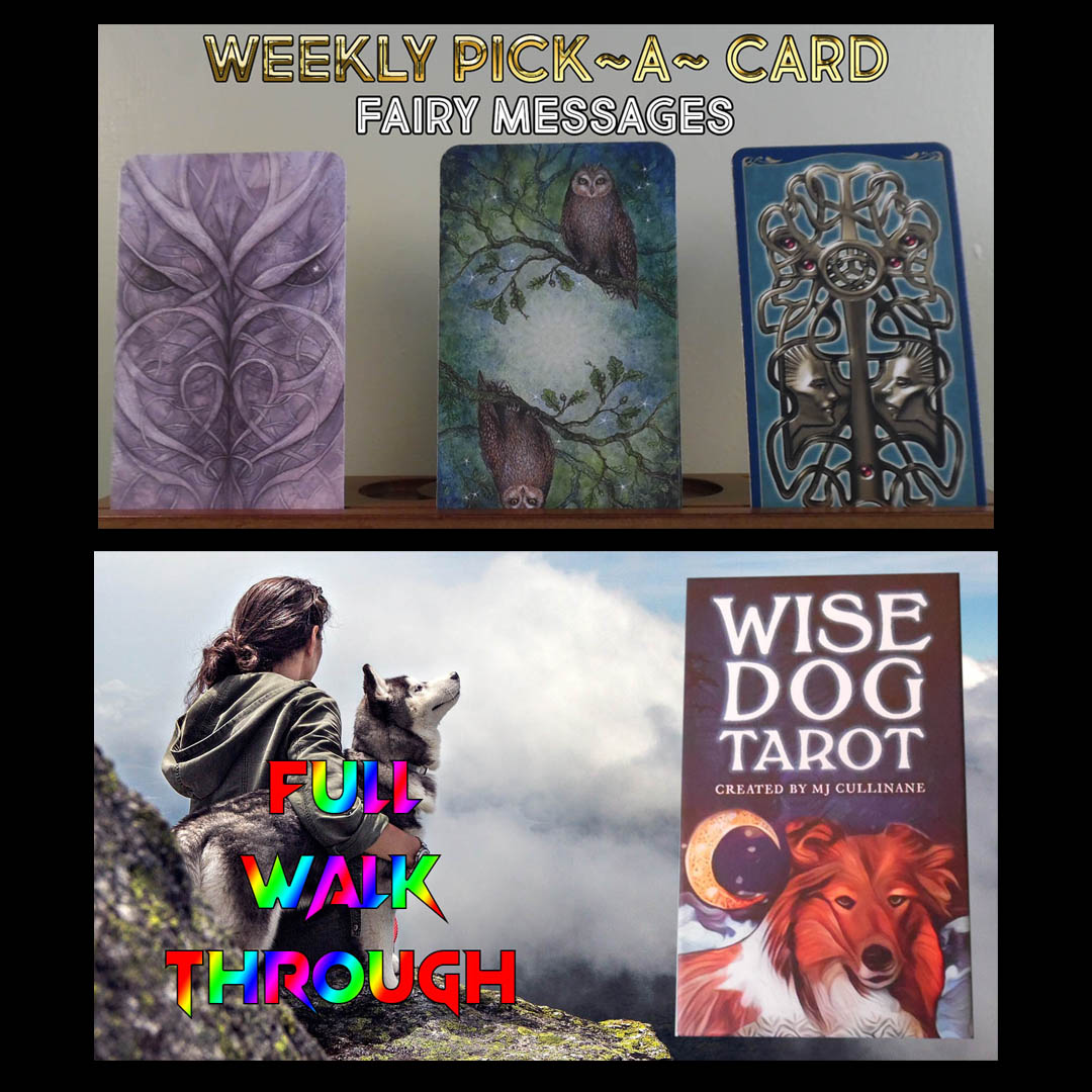 The Faeries have come out to play today at Conversations with Sakeina youtube.com/watch?v=VagOiq… and also a look at the Wise Dog Tarot youtube.com/watch?v=mcurCY…
See what Sakeina thought of this deck! #tarot #tarotreadings #spiritguides
