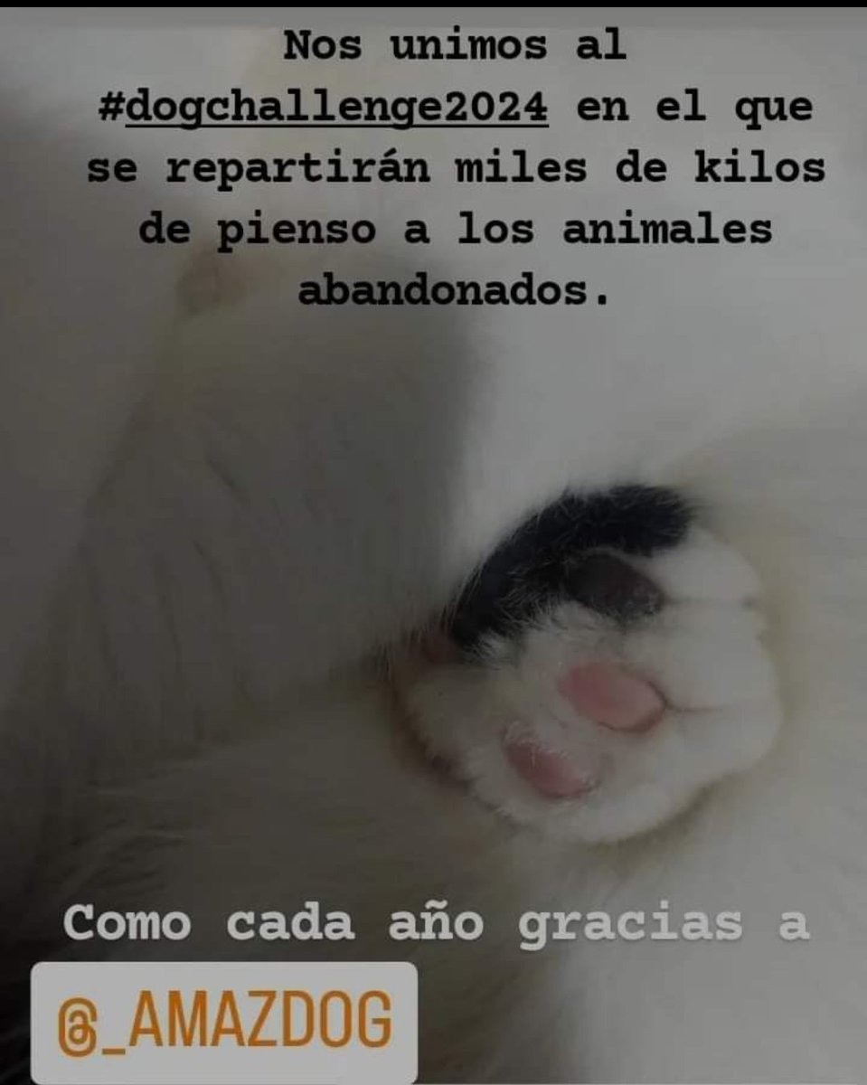 Como cada año nos unimos al #dogchallenge2024 en el que gracias a @amazdog y @tiendanimal muchos animales recibirán alimento. Os animamos a publicar una foto o dibujo de una huellita etiquetando a ambas para seguir sumando kg de pienso a esta multitudinaria donación.